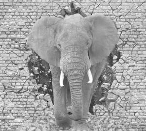 Слон из джунглей 3167-ML